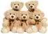 Gerster Teddybär Plüschtier khaki 34cm, 5er-Set