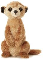 Aurora MF MEERKAT