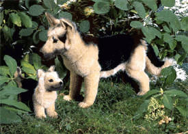 Kösener Schäfer-Hund 44 cm