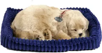 Perfect Petzzz Golden Retriever Welpe 25 cm