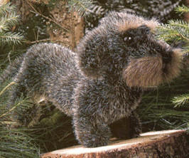 Kösener Rauhhaardackel Zausel 23 cm