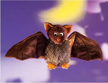 Schaffer Fledermaus Dragomir