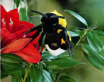 Kösener Hummel-Linchen 12 cm – Entdecken Sie das Kösener Hummel-Linchen 12 cm