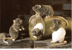 Kösener Ratte 20 cm