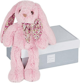Histoire d'Ours HO2434
