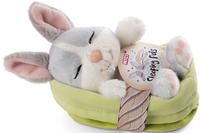 Nici Kuscheltier "Sleeping Pets GREEN, Hase 12 cm" schlafend im K&ouml;rbchen