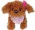 Simba Chi Chi Love Tea Cup Poodle Puppy (105890015)