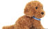 Teddy Hermann Goldendoodle 30 cm hellbraun (91977)