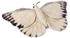 WWF Schmetterling 20 cm (WWF01107)