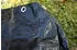Gre Oval winter pool cover 730 x 375 cm black
