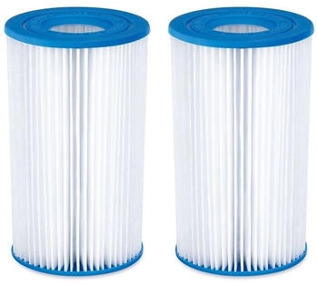 Summer Waves Set of 2 filter cartridges type A/C