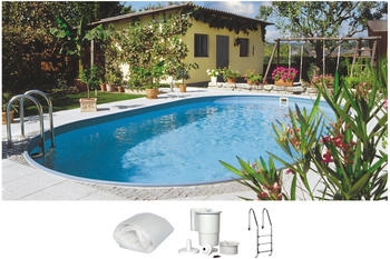 Clear Pool Ovalpool CP OFB STD 300 x 490 x 120 cm (Set 4-teilig)
