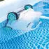 Intex ZX300 Deluxe Automatischer Poolreiniger (3202926)