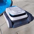 Pool Royal PC10