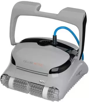 Dolphin Deluxe Active Wonderbrush