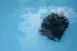 Interline Automatischer Poolroboter Walking Catfish 2.0