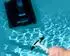 Dolphin Clicker / Rassel für Poolroboter Dolphin LIBERTY 300 und 400