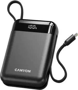 Canyon OnPower 204 Powerbank 20000mAh schwarz