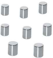 Neodym-Magnet Zylinder silber DM8x10mm 8 St&uuml;ck