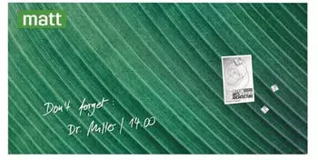 sigel Artverum Palm Leaf 91x46cm (GL371)