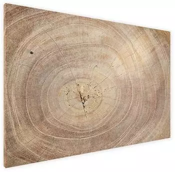 ALLboards MetalBoards Baumstamm 40x60cm braun