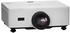 Sharp P601Q