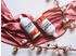 BioTech USA Collagen Liquid 1000 ml Forest Fruits