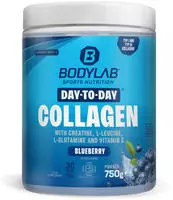 Bodylab24 Day to Day Blaubeere 750g, Kollagen-Hydrolysat kombiniert u.a. mit