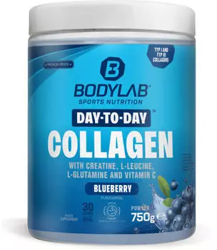 Bodylab Day to Collagen 750g Blueberry