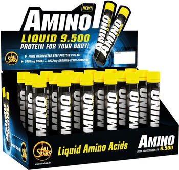 All Stars Amino Liquid 9.500 18 x 25ml Schwarze Johannisbeere
