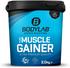Bodylab24 Pure Muscle Gainer - 2000g - Vanille