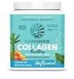 SunWarrior Collagen Building Protein Peptides - 500g - Natural
