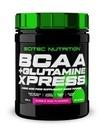 Scitec Nutrition BCAA + Glutamine Xpress Bubble Gum Pulver 2 x 300 g