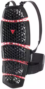 Dainese Pro Armor Back Protection 2.0