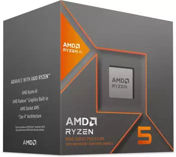 AMD Ryzen 5 8600G Boxed
