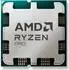 AMD Ryzen PRO 8000G (Sockel AM5)
