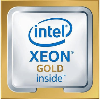 Intel Xeon Gold 6138 Tray (Sockel 3647, 14nm, CD8067303406100)