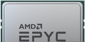 AMD EPYC 7313 Tray (100-000000329)