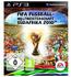 FIFA Fussball Weltmeisterschaft 2010 Südafrika (PS3)