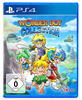 NBG Spielesoftware »Wonder Boy Collection«, PlayStation 4