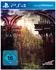 Natural Doctrine Plattformen