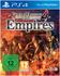 Samurai Warriors 4: Empires (PS4)