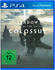 Sony Shadow of the Colossus (PEGI) (PS4)