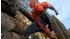 Marvel's Spider-Man (PS4)