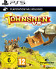 THQ Nordic THQ Townsmen (PS VR2) (Playstation, DE) (24041688)
