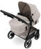 ABC Design Migno 2024