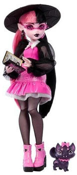 Mattel Monster High Doll With Pet - Draculaura (HRP64)