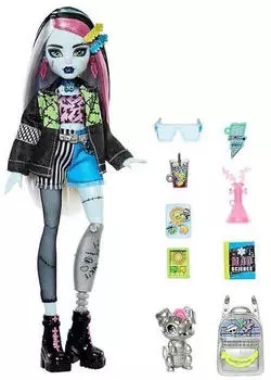 Mattel Monster High Doll With Pet - Frankie Stein (HXH73) – Frankie Stein: Ein Charakter mit Stil