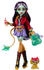 Mattel Monster High Doll With Pet Jinafire Long (HYV58)