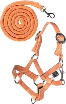 HKM Steckenpferd-Halfterset Basic mit Strick orange
